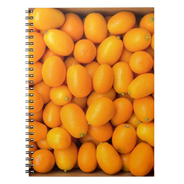 Haufen der orange japanischer Orangen im Notizblock (Vorderseite)