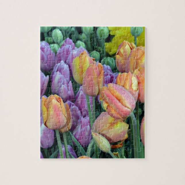 Haufen farbiger Tulpen (Vertikal)