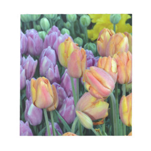 Haufen farbiger Tulpen Notizblock