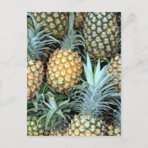 Haufen tropisch-hawaiianische Ananas Postkarte
