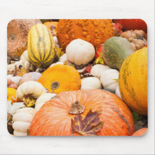 Haufen von Kürbissen und Squash Mousepad