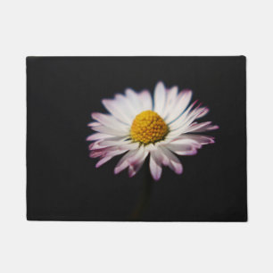 Häufig Daisy dmcn Fußmatte