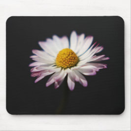 Häufig Daisy mpcnm Mousepad