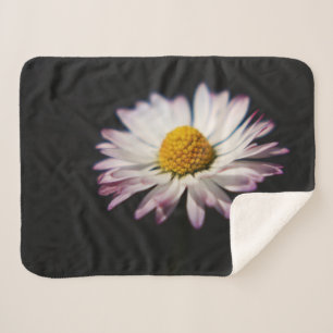 Häufig Daisy sbcnm Sherpadecke