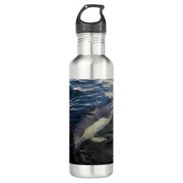 Häufig Dolphin Schwimmen Edelstahlflasche