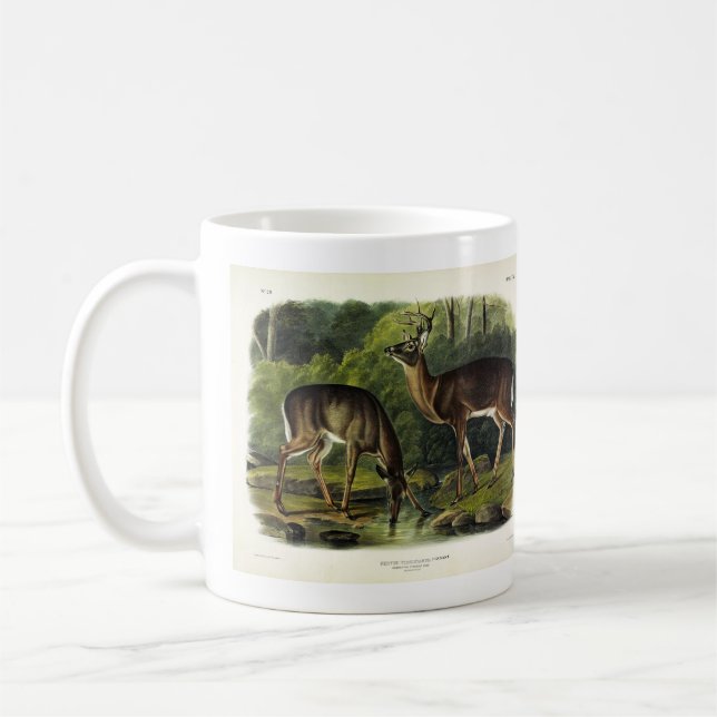 Häufig (Weißschwanz) Hirsche - Audubon-Quadrupeds Kaffeetasse (Links)