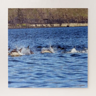 Häufige Delphine: Jigsaw Puzzle