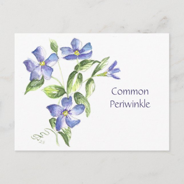 Häufige Postkarte (Vorderseite)