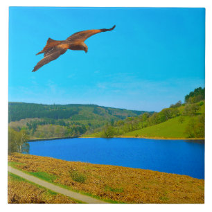 Häufiger Buzzard über das Ladybower-Reservoir Fliese