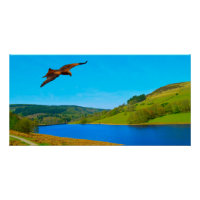 Häufiger Buzzard über das Ladybower-Reservoir