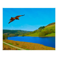 Häufiger Buzzard über das Ladybower-Reservoir
