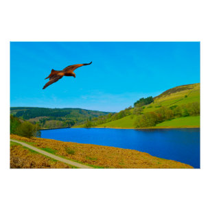 Häufiger Buzzard über das Ladybower-Reservoir Poster