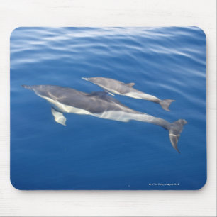 Häufiger Delphin in der Straße Mousepad