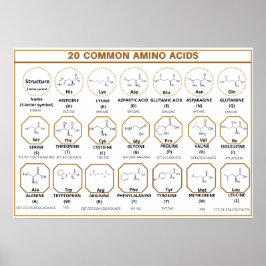 Häufiger Quiz zu 20 gängigen Aminosäuren Poster