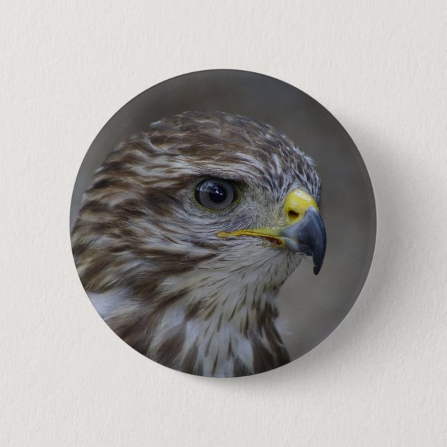 Häufiges Bussard-Portrait Button (Vorderseite)