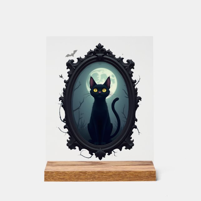 Haunted Cat Mirror Acrylschild (Vorderseite)
