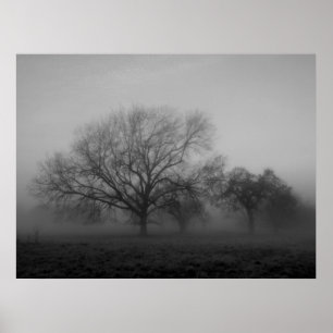 Haunting Fog Leinwand Poster