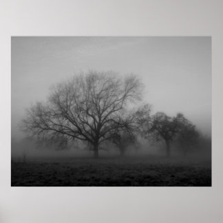 Haunting Fog Leinwand Poster