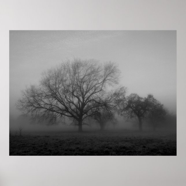 Haunting Fog Leinwand Poster (Vorne)
