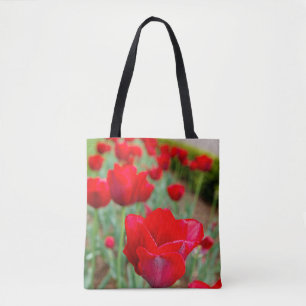 Haupt-Bulben, Nah Tasche