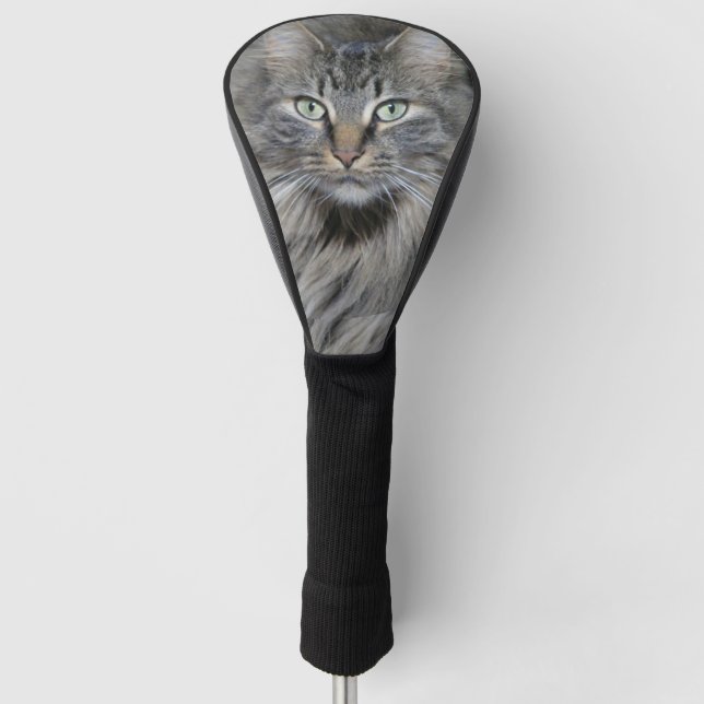 Haupt-Coon-Katzen Augen Golf Headcover (Vorderseite)