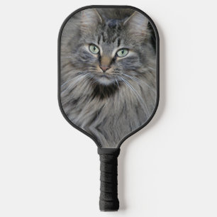 Haupt-Coon-Katzen Augen Pickleball Schläger
