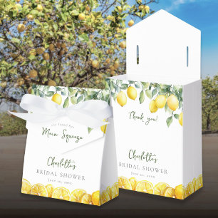 Haupt-Squeeze-Wasserfarbe-Limonen-Junggesellinnen- Geschenkschachtel