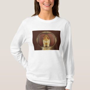 Haupt- und Verbundaugen einer Schwebeflug-Fliege T-Shirt