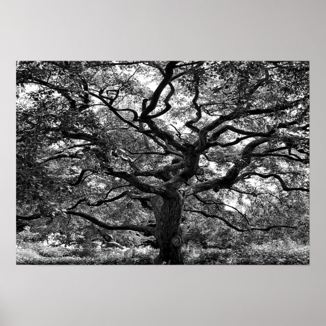 Hauptarterie Poster (Vorne)