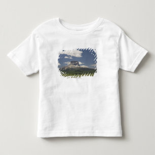 Hauptberg mit Weiden des Weiden lassens des Viehs Kleinkind T-shirt