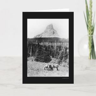 Hauptberg von Glacier Nationalpark 1925 Karte