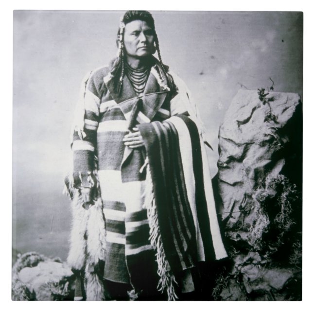 Hauptjoseph (1840-1904) c.1880 (b/w Foto) Fliese (Vorderseite)