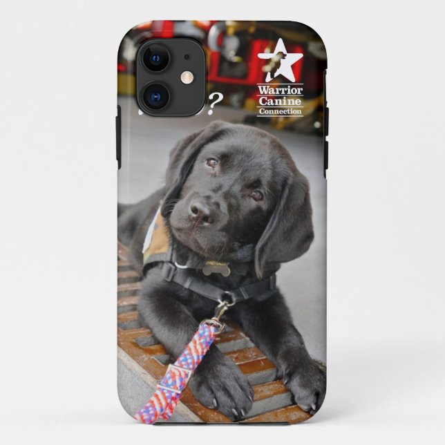 Hauptneigungs-Telefon-Kasten Case-Mate iPhone Hülle (Rückseite)