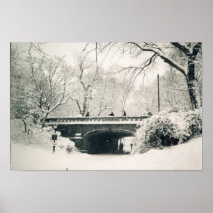 Hauptparkbrücke Poster