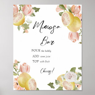 Hauptpresse   Zitrus   Rosa Florale Mimosa-Bar Poster