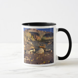 HAUPTSTADT REEF NATIONAL PARK, UT, US, Cottonwood Tasse