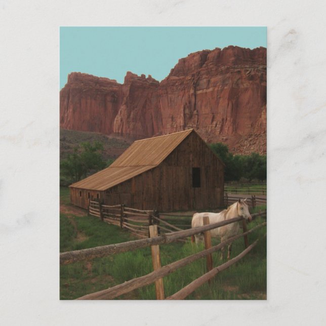 Hauptstadt Reef National Park, Utah Postkarte (Vorderseite)