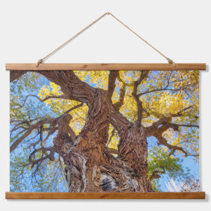 Hauptstadt Reef Nationalpark, Cottonwood Tree Wandteppich Mit Holzrahmen