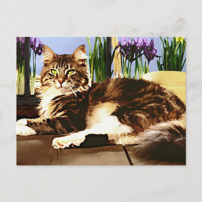 Haupttragetasche Postkarte (Vorderseite)