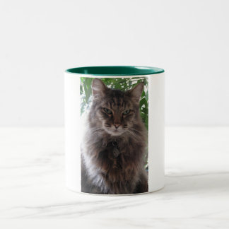 Hauptwaschbär-Katzen-Tasse Zweifarbige Tasse