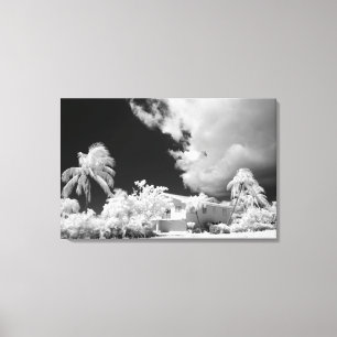 Haus auf den Florida Keys und seine Palmen, USA. Leinwanddruck