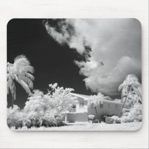 Haus auf den Florida Keys und seine Palmen, USA. Mousepad