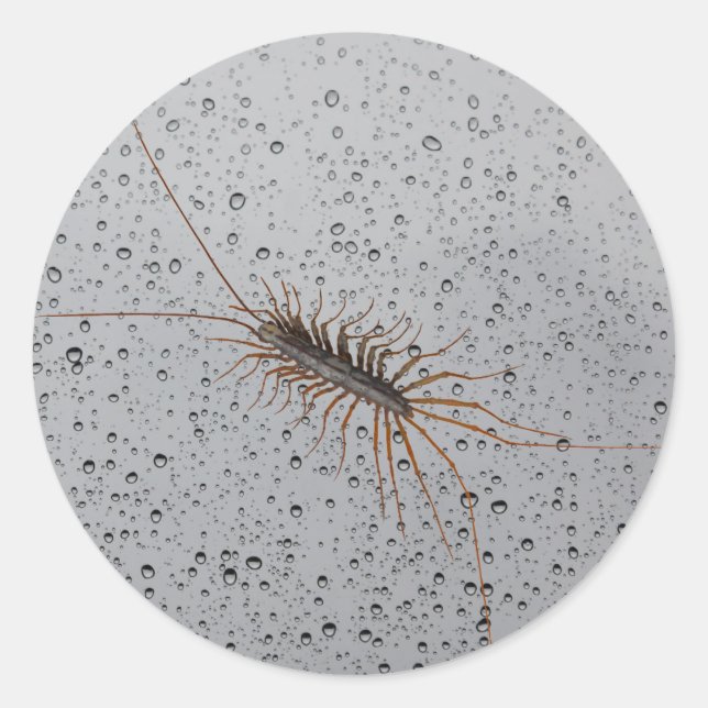 HAUS CENTIPEDE. RUNDER AUFKLEBER (Vorderseite)
