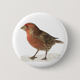 Haus-Fink Button