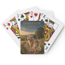Haus Hund Landweg ANIMALS Poker
