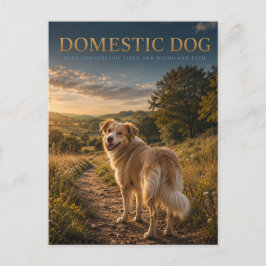 Haus Hund Landweg TIERE Postkarte
