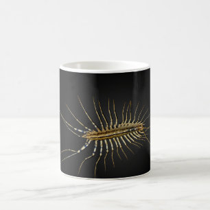 Haus-HundertfüßerScutigera Coleoptrata Kaffeetasse
