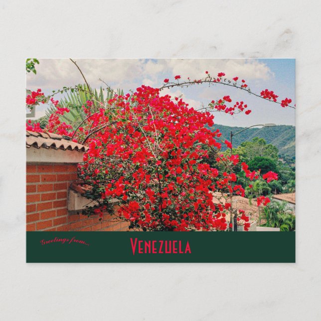 Haus mit Blume Caracas Venezuela Postkarte (Vorderseite)