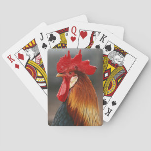Haus- oder Hofhahn Spielkarten