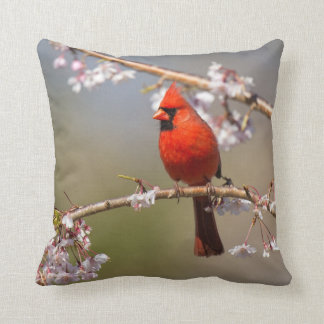 Haus-Vogel-Foto-Kissen Kissen